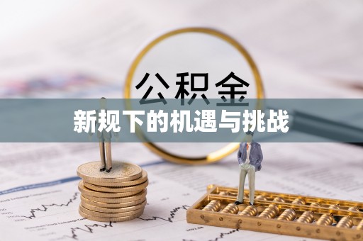 安平新规下的机遇与挑战