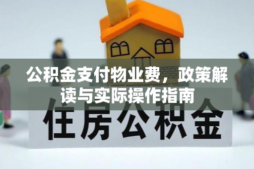 安平公积金支付物业费，政策解读与实际操作指南