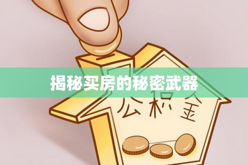 安平揭秘买房的秘密武器