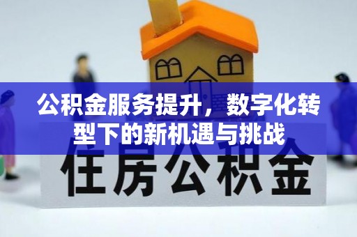 安平公积金服务提升，数字化转型下的新机遇与挑战