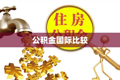 安平公积金国际比较