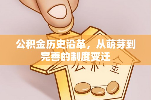 安平公积金历史沿革，从萌芽到完善的制度变迁
