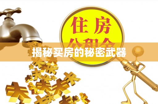 安平揭秘买房的秘密武器