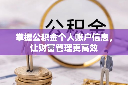安平掌握公积金个人账户信息，让财富管理更高效