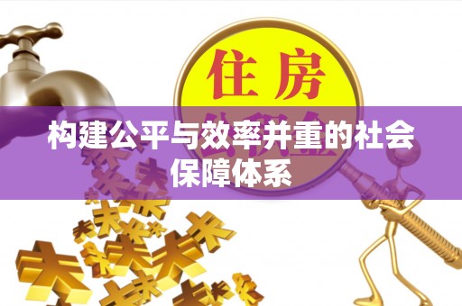 安平构建公平与效率并重的社会保障体系