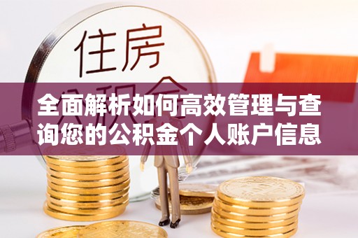 安平全面解析如何高效管理与查询您的公积金个人账户信息