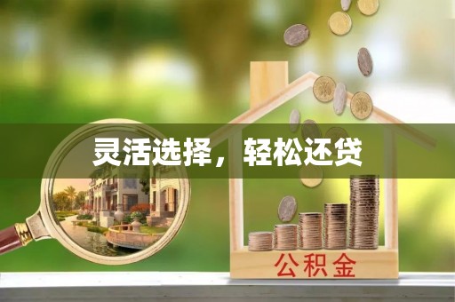 安平灵活选择，轻松还贷
