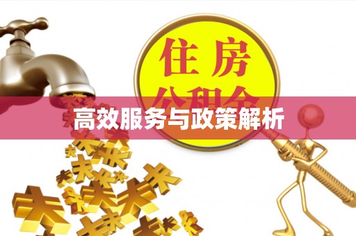 安平高效服务与政策解析