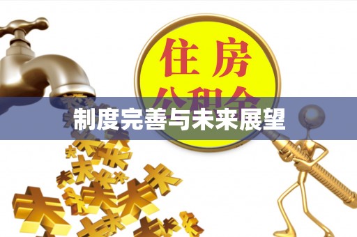 安平制度完善与未来展望