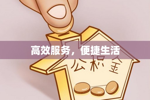 安平高效服务，便捷生活