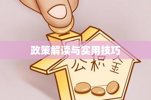 安平政策解读与实用技巧