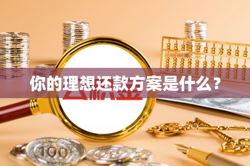 安平你的理想还款方案是什么？