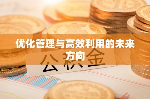 安平优化管理与高效利用的未来方向