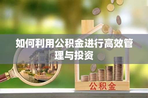 安平如何利用公积金进行高效管理与投资