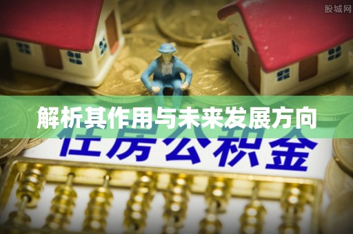 安平解析其作用与未来发展方向