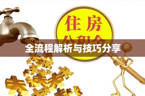 安平全流程解析与技巧分享