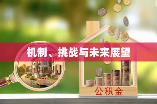 安平机制、挑战与未来展望
